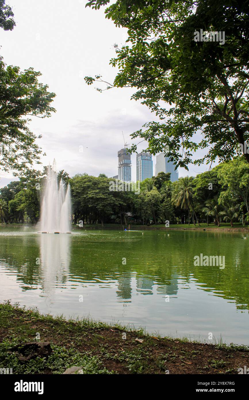 Bangkok. Il Lumphini Park è un parco di Bangkok, Thailandia. Il parco offre rari spazi pubblici aperti, alberi e parchi giochi e contiene un lago artificiale dove i visitatori possono noleggiare barche. Il lago ospita molte lucertole, comprese quelle grandi, che possono essere facilmente individuate. Il Parco Lumphini è considerato il primo parco pubblico di Bangkok e Thailandia. Foto Stock