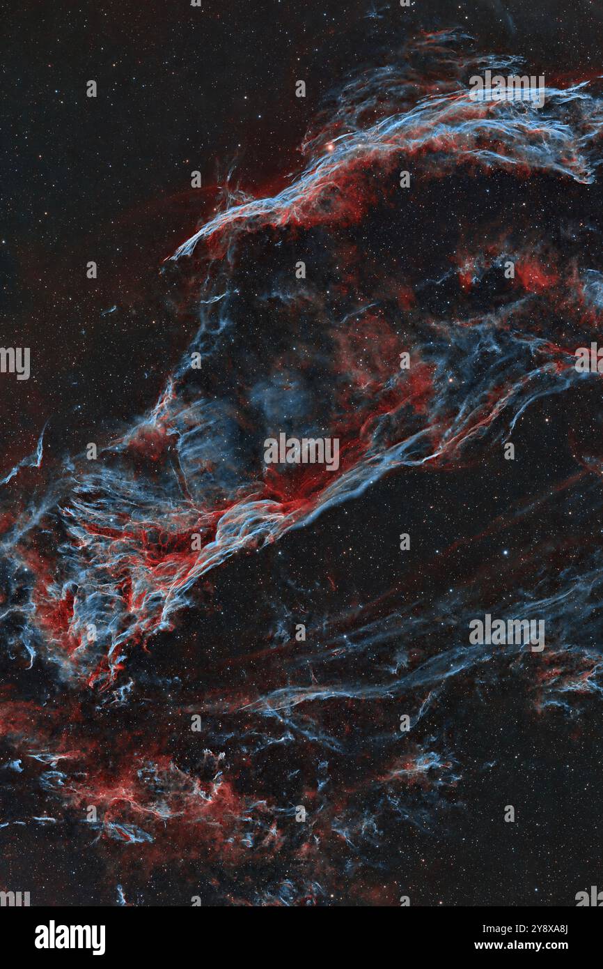 Il Triangolo di Pickering è una porzione più piccola e più debole dell'impressionante Cygnus Loop e della Nebulosa velo di Cygnus. Foto Stock