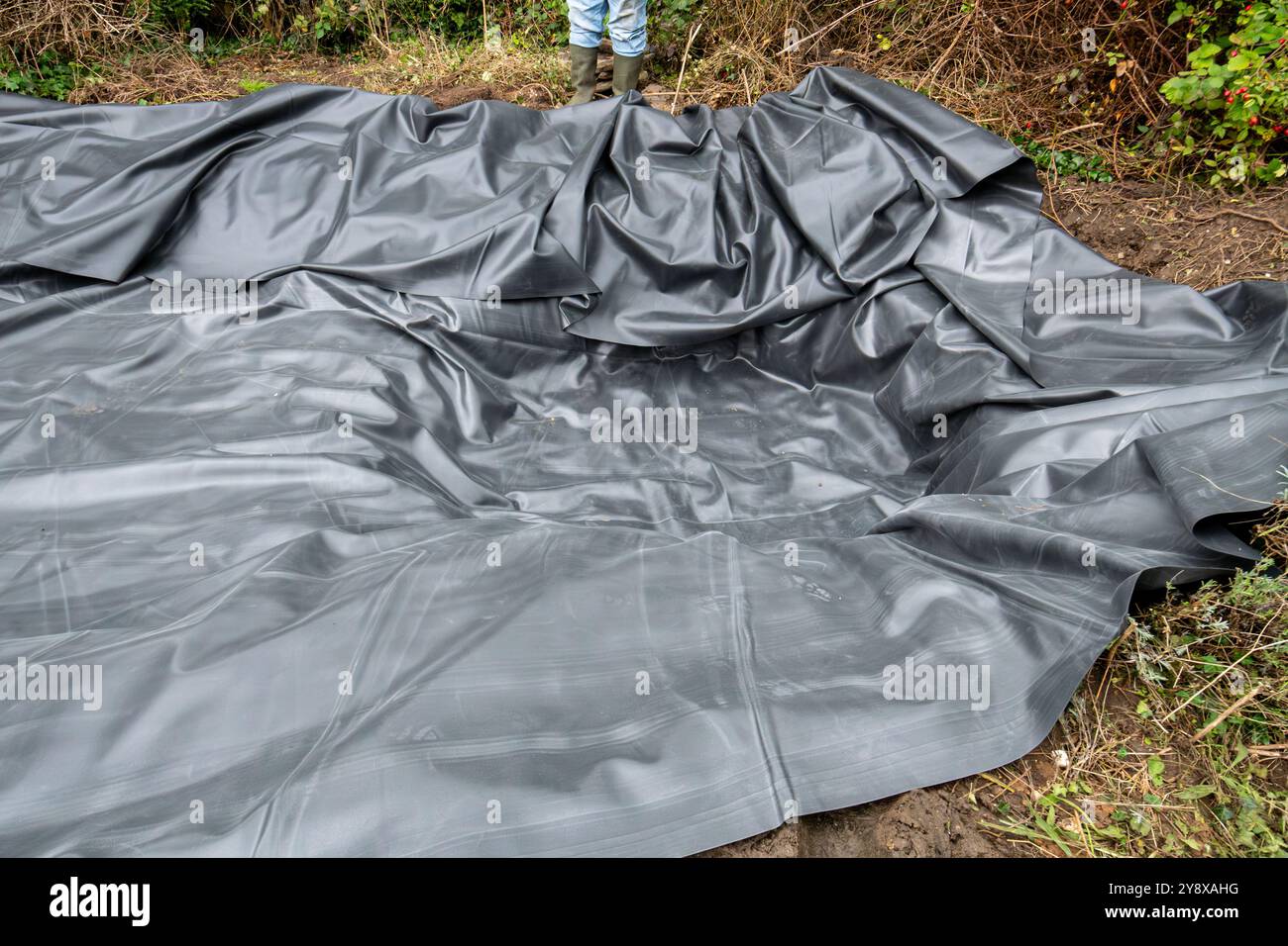 Creare e rivestire un laghetto con animali selvatici in un giardino, Regno Unito. Rivestimento del laghetto in posizione prima di tagliare a misura Foto Stock