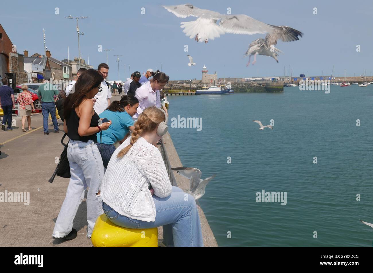 HOWTH, IRLANDA - 30 LUGLIO 2024: Turisti che danno da mangiare ai gabbiani nel porto Foto Stock