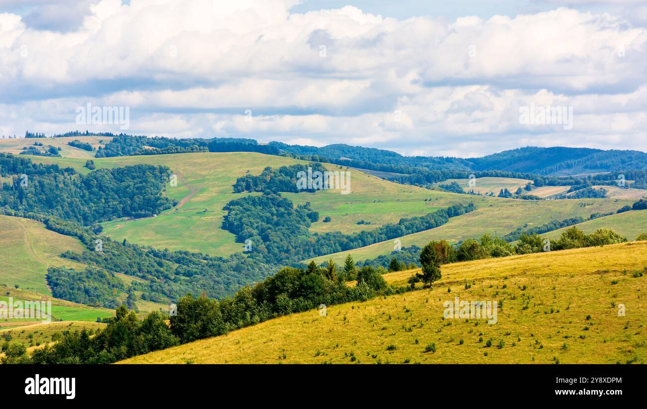 paesaggio di campagna montuoso dell'ucraina in una giornata di sole d'autunno. colline ondulate e pascoli erbosi. ambiente verde panoramico Foto Stock