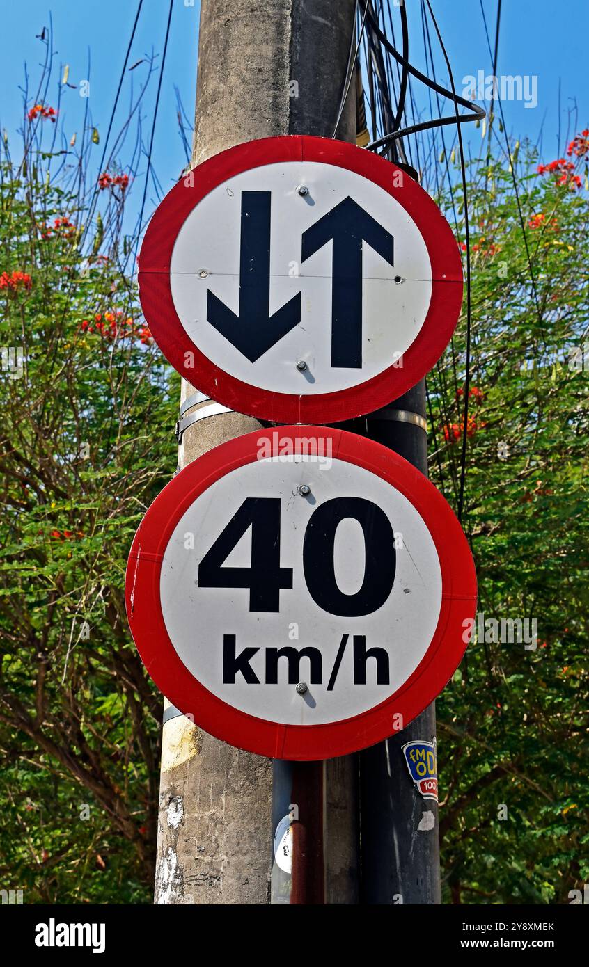 Segnali stradali indicanti il percorso bidirezionale e il limite di velocità a 40 chilometri orari, quartiere di Tijuca, Rio de Janeiro, Brasile Foto Stock