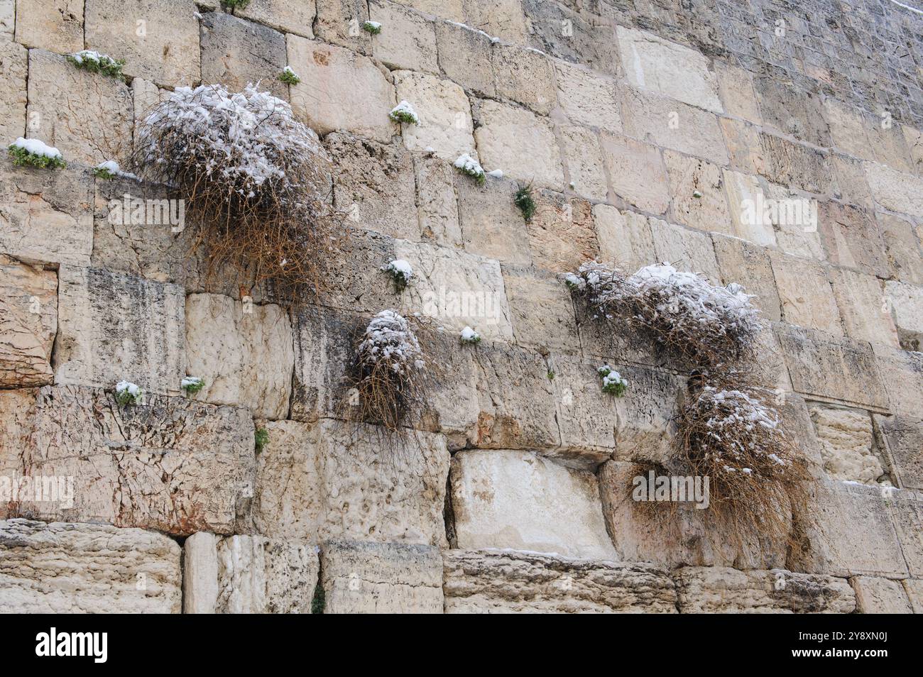 Il muro Occidentale è cosparso di neve bianca e polverosa e gelo a seguito di una rara tempesta di neve invernale a Gerusalemme, Israele. Foto Stock
