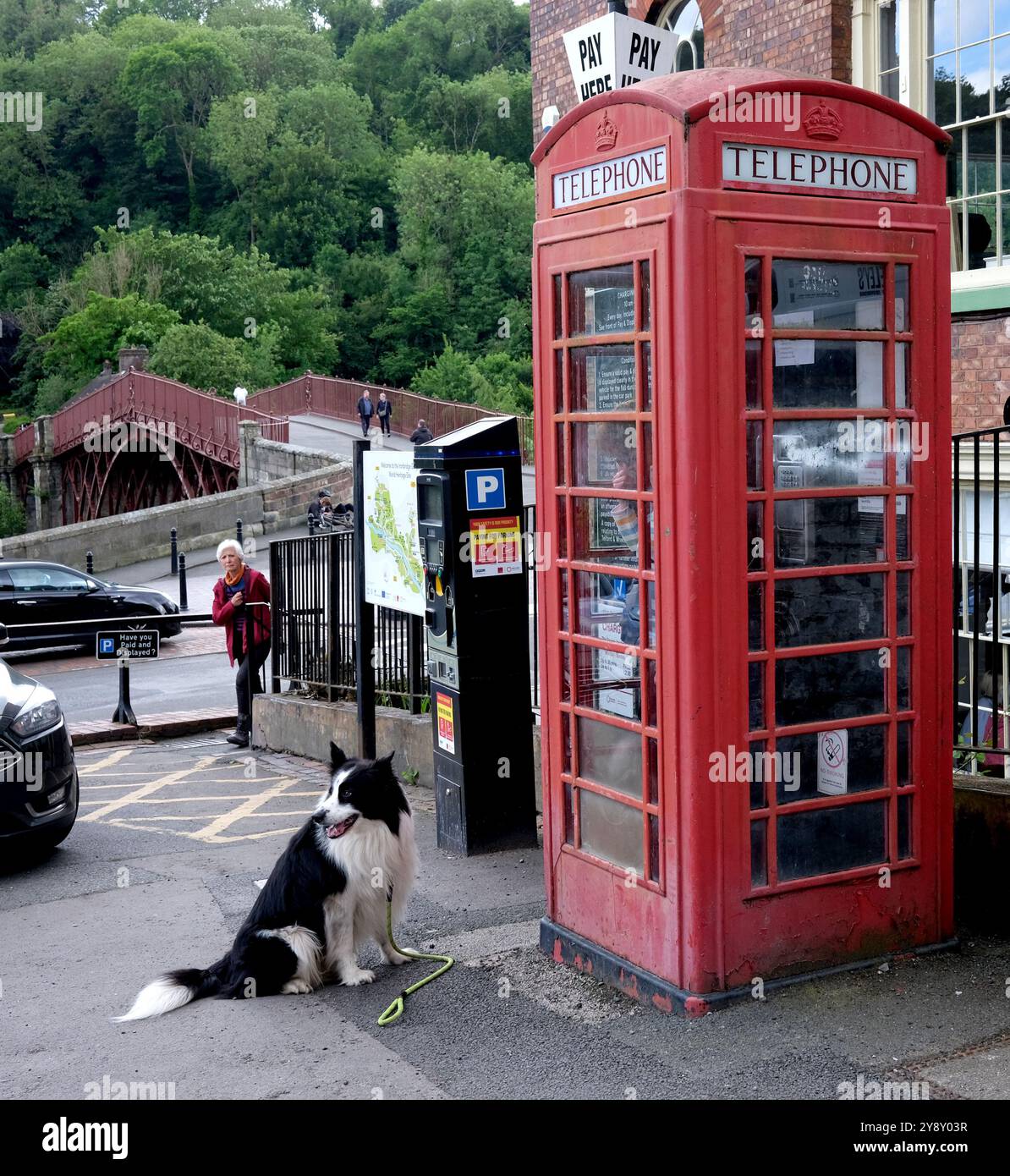 Animale domestico Border Collie cane in attesa del proprietario con la cabina telefonica rossa a Ironbridge Foto Stock