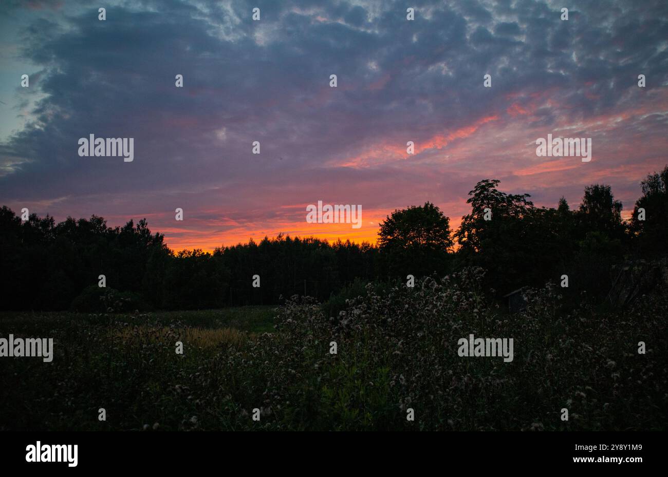 Una serata nella splendida natura con il tramonto che trasforma il cielo di arancione. Le nuvole giocano, natura morta. Foto Stock
