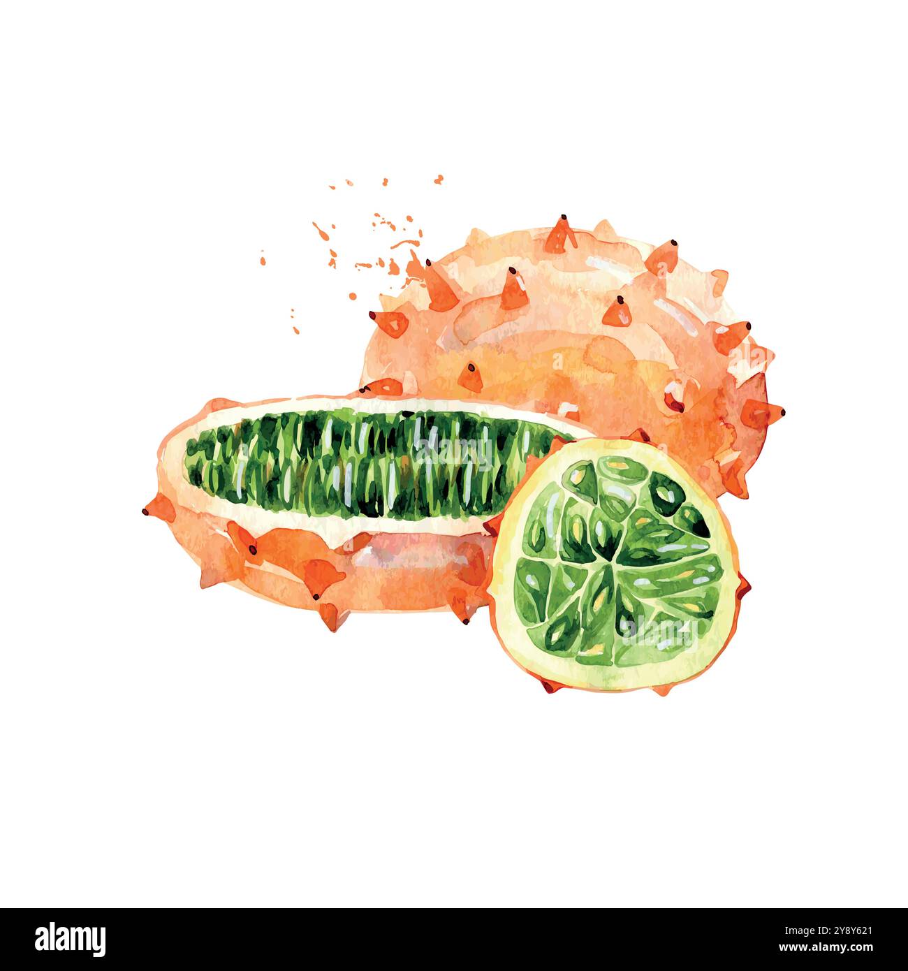 Kiwano di acquerello disegnato a mano. Illustrazione vettoriale. Illustrazione Vettoriale