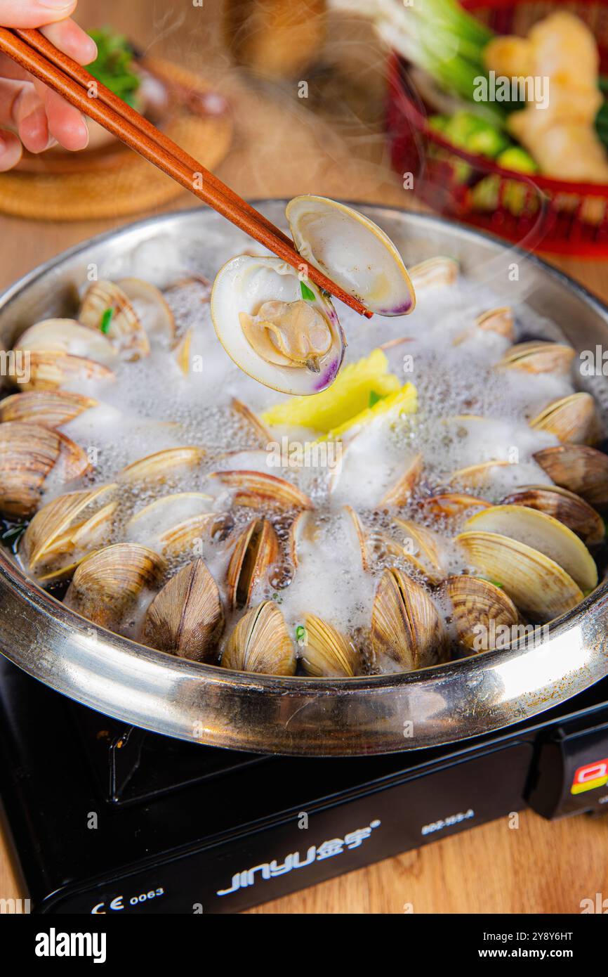 Vongole a vapore (Surf , collo corto , tappeto , conchiglia di Venere, vongole per neonati) Foto Stock