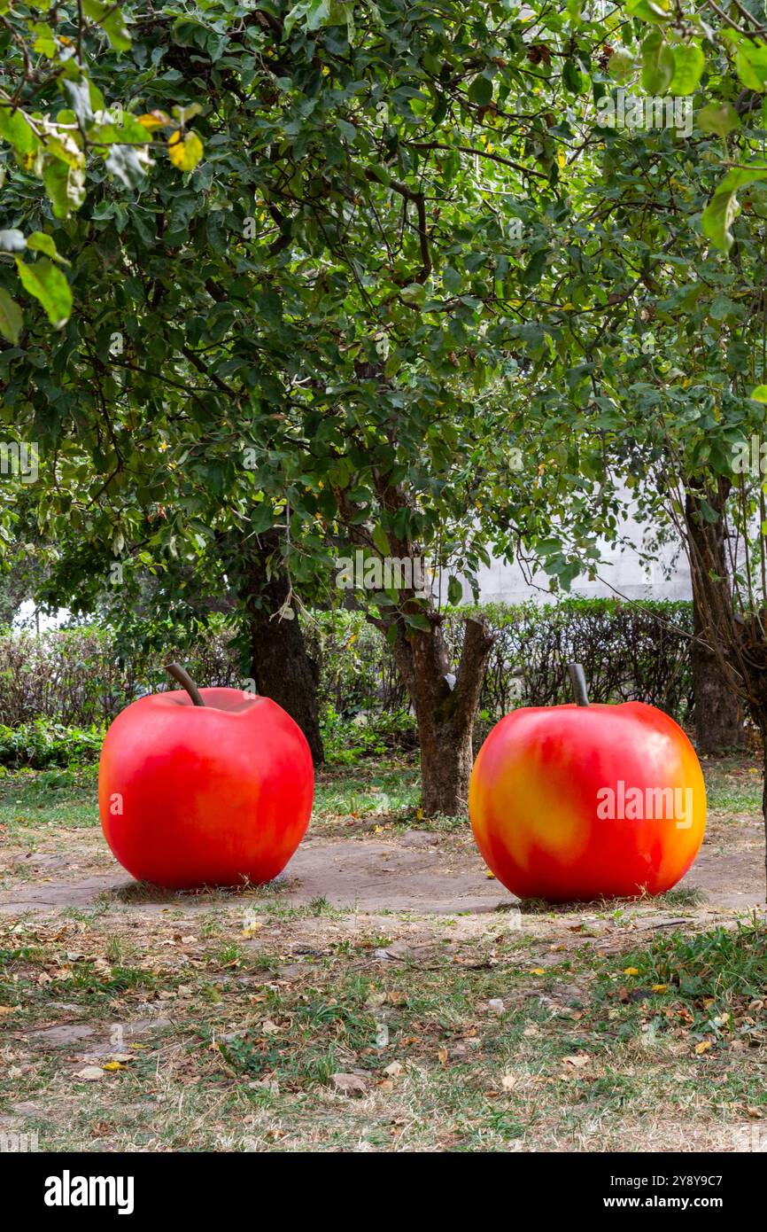 Un'installazione di due mele artificiali in un giardino di frutta. Erba calpestata e foglie ingiallite sul terreno. Foto Stock