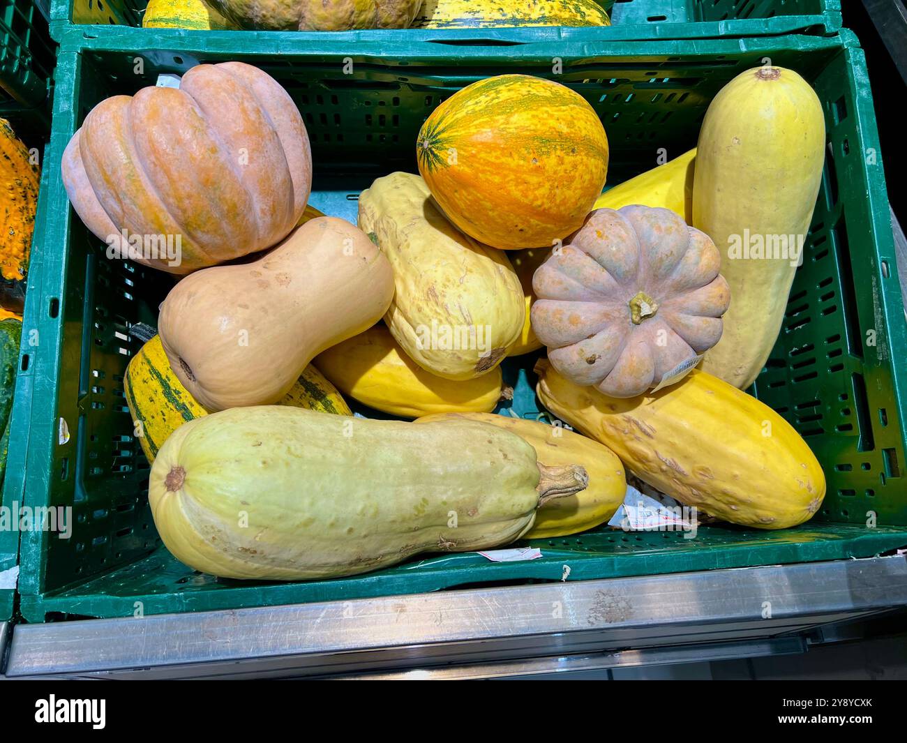 Vivace mix di zucche colorate esposte in una scatola di plastica al banco di un supermercato. Un perfetto scenario di raccolta autunnale, con prodotti di stagione e. - Immagine stock catturata con smartphone