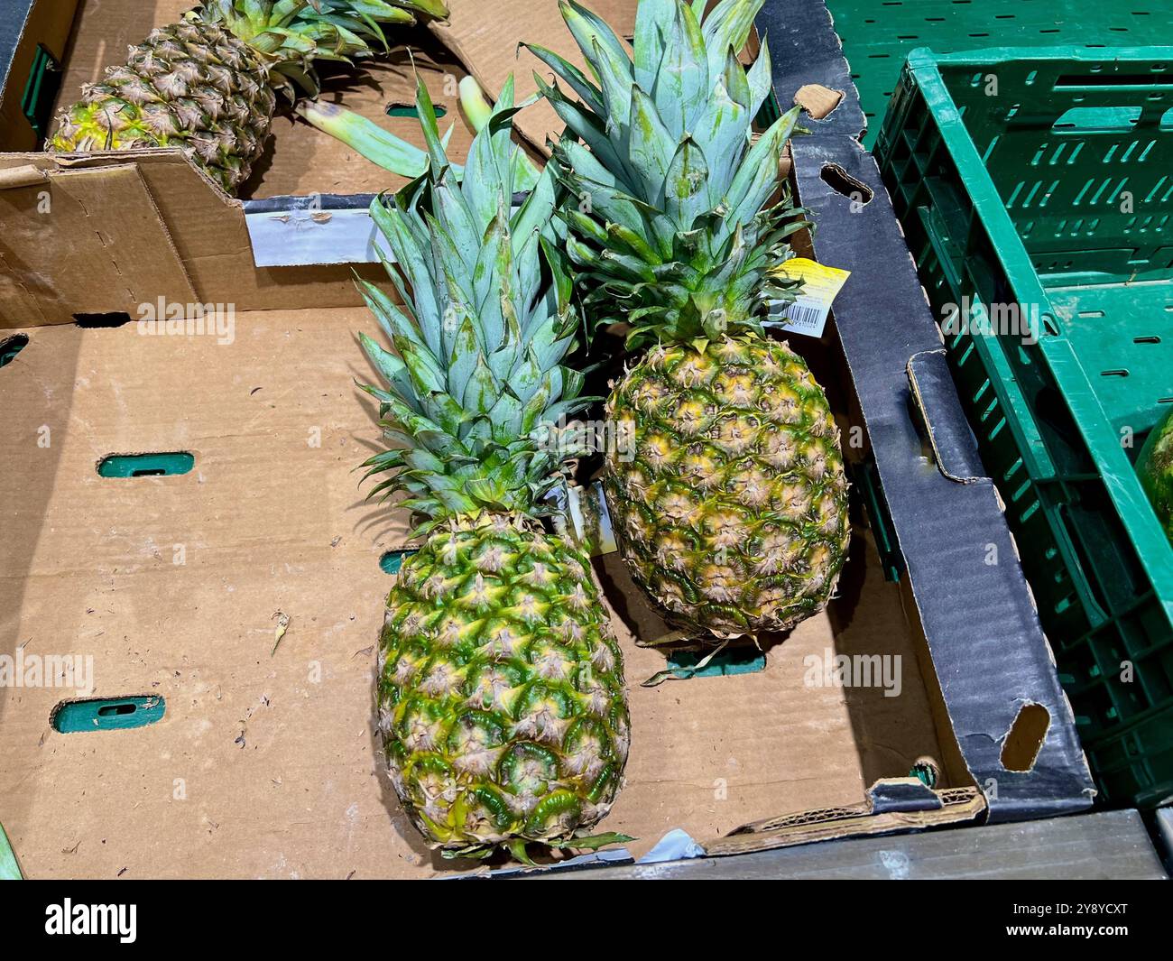 Ananas al banco del negozio in una scatola di cartone. Comprare e vendere frutta. Ananas come prodotto alimentare sano. Quasi tutti gli ananas sono stati venduti - Immagine stock catturata con smartphone
