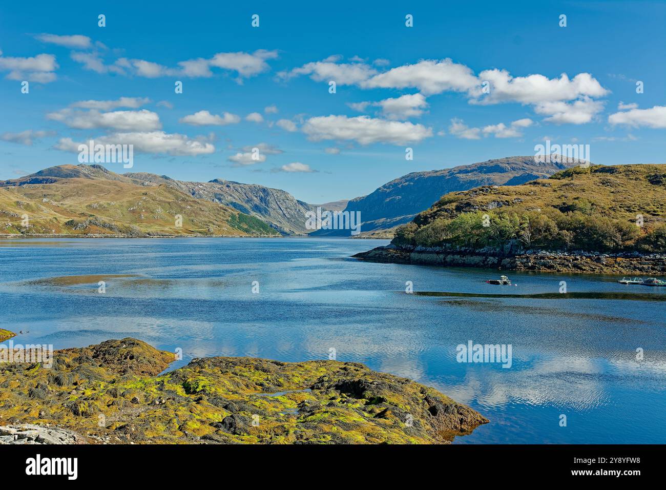 Kylesku Sutherland Scotland Loch Gleann Dubh e rocce ricoperte di alghe verdi e arancioni in estate Foto Stock