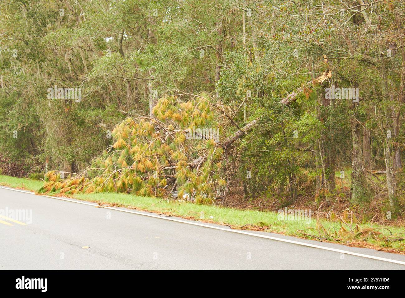 Danni alle proprietà dell'uragano Helene il giorno dopo l'uragano della Georgia del Sud, Stati Uniti. Mostrando danni e detriti. Le conseguenze di un uragano di categoria 4!!!!! Foto Stock