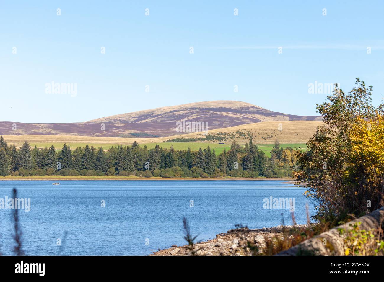 Loch of Lintrathen è un lago artificiale è un sito di interesse scientifico speciale, Angus, Scozia Foto Stock