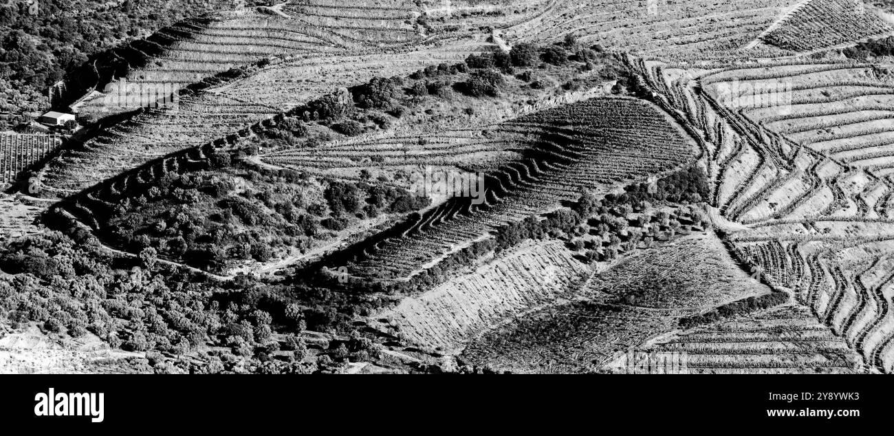 Vista aerea delle terrazze di agricoltura vinicola vicino a Villa Nova de Foz COA, Portogallo Foto Stock