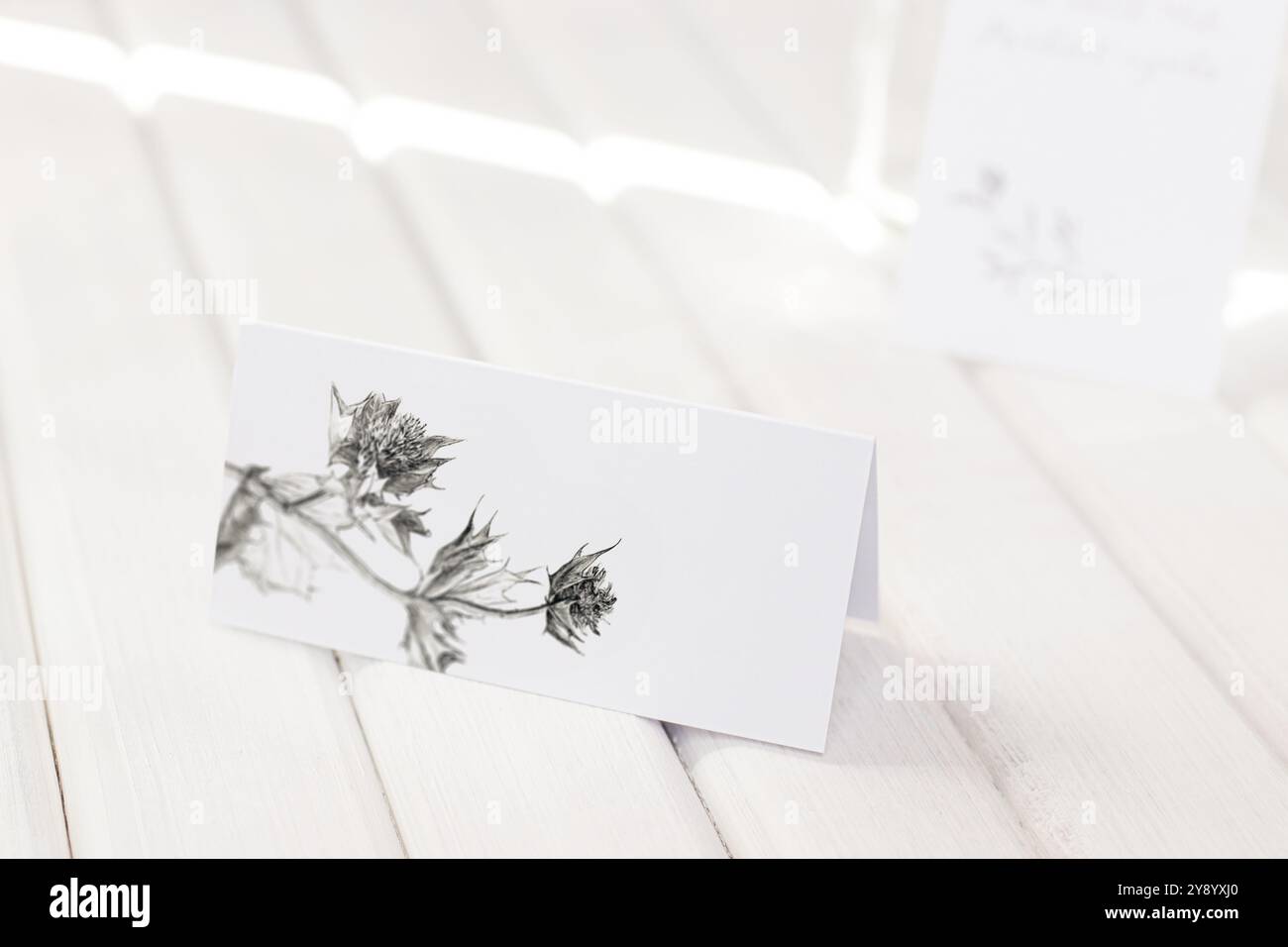 Scheda bianca vuota con un modello di disegno a fiocco di cardo. Elegante e moderno ricevimento nuziale Foto Stock