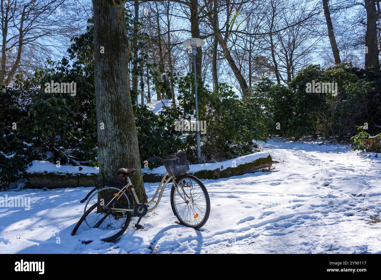 Una bicicletta solitaria si appoggia contro un albero in un parco innevato. La luce del sole irrompe tra gli alberi, illuminando il tranquillo paesaggio invernale Foto Stock