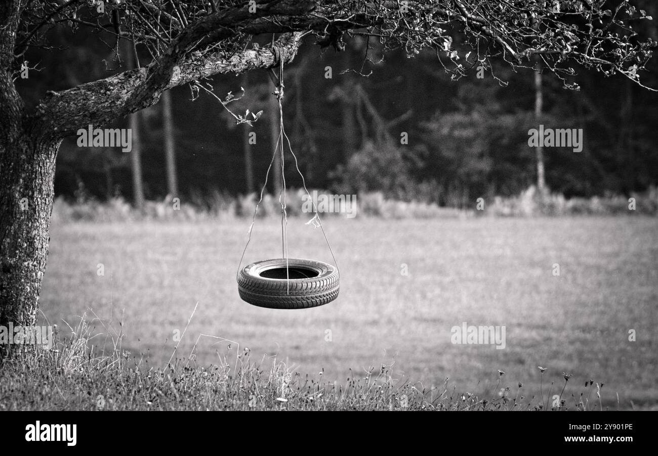 Altalena abbandonata sul giardino fatta di vecchi pneumatici. Foto di concetto tristezza, solitudine o infanzia. Foto Stock