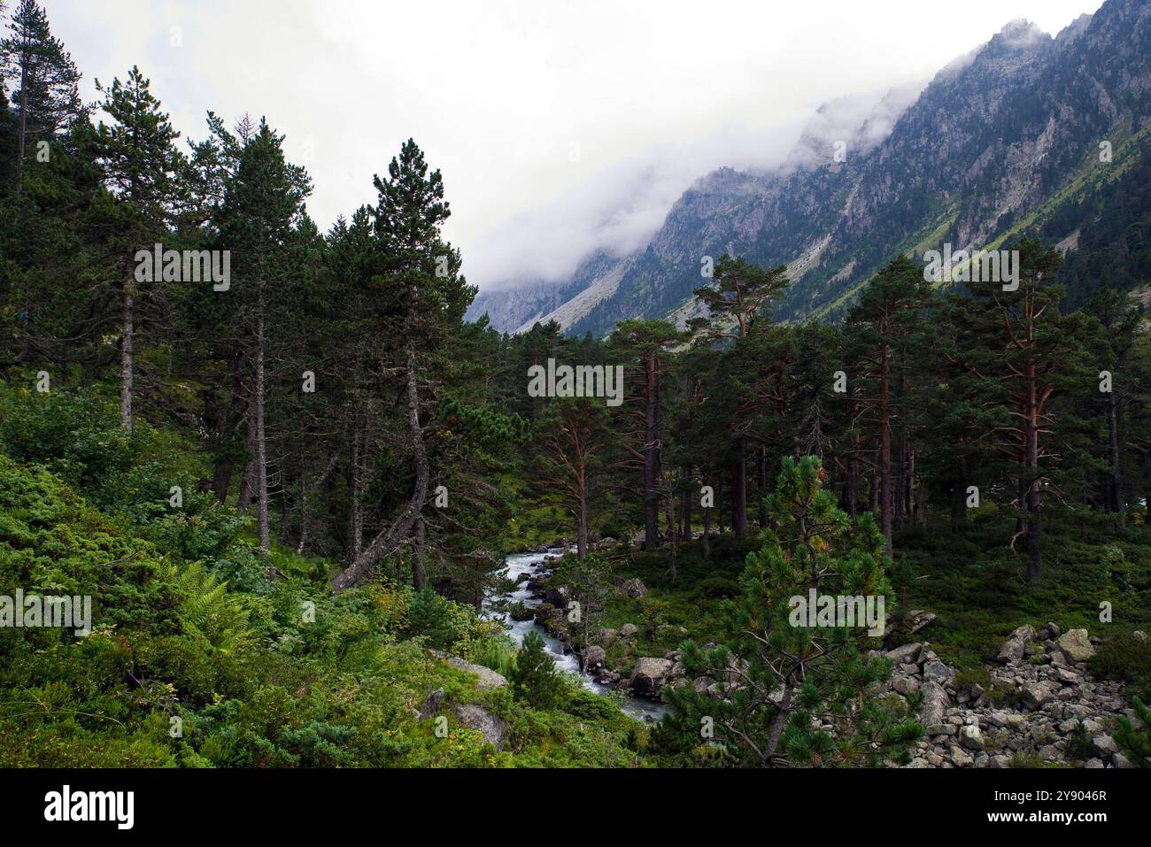 Montagne dei Pirenei vicino a Lac de Gaube Foto Stock