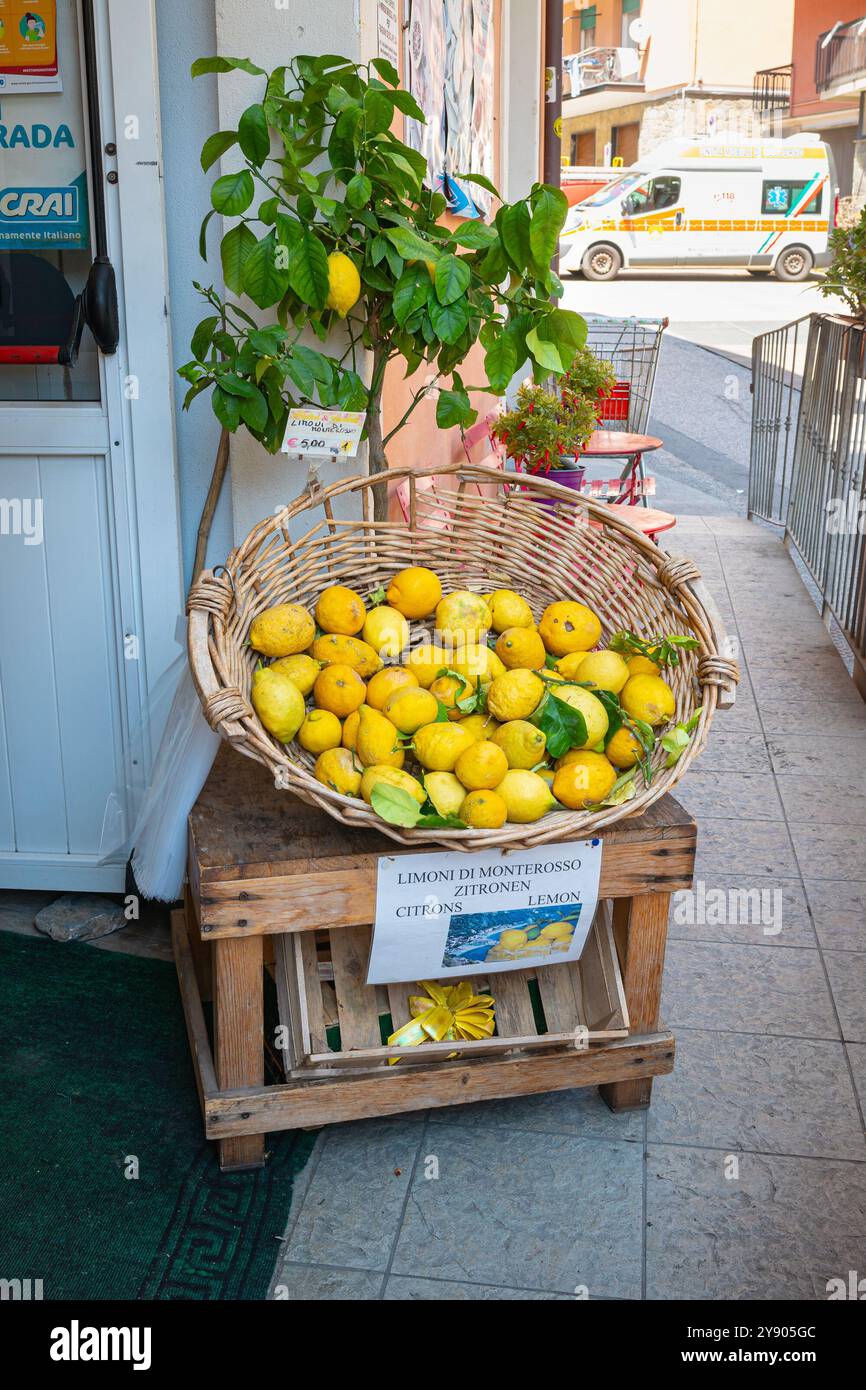 Cestino con limoni in un negozio nella città costiera italiana di Monterosso al Mare, parte delle cinque Terre Foto Stock