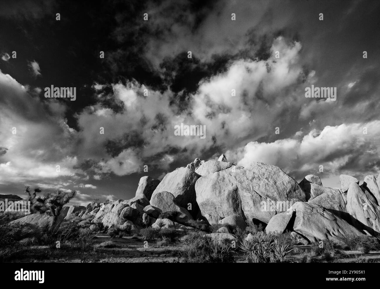Bianco e nero di rocce e cielo nel Joshua Tree National Park Foto Stock