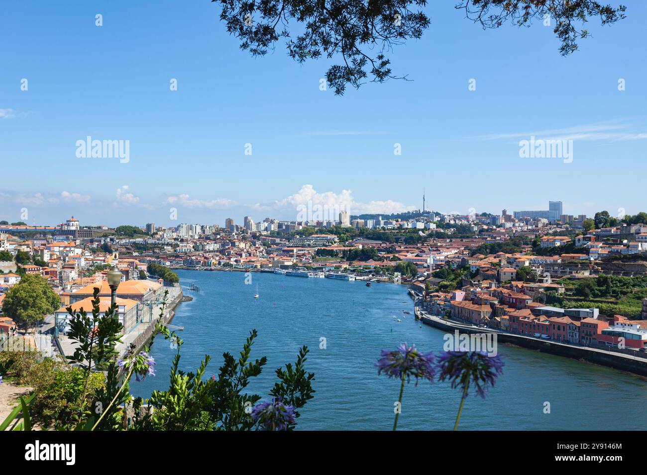 Le città di Porto (a sinistra) e Vila Nova de Gaia (a destra) separate dal fiume Douro (Rio Douro), viste dai giardini Palácio de Cristal, Portogallo. Foto Stock