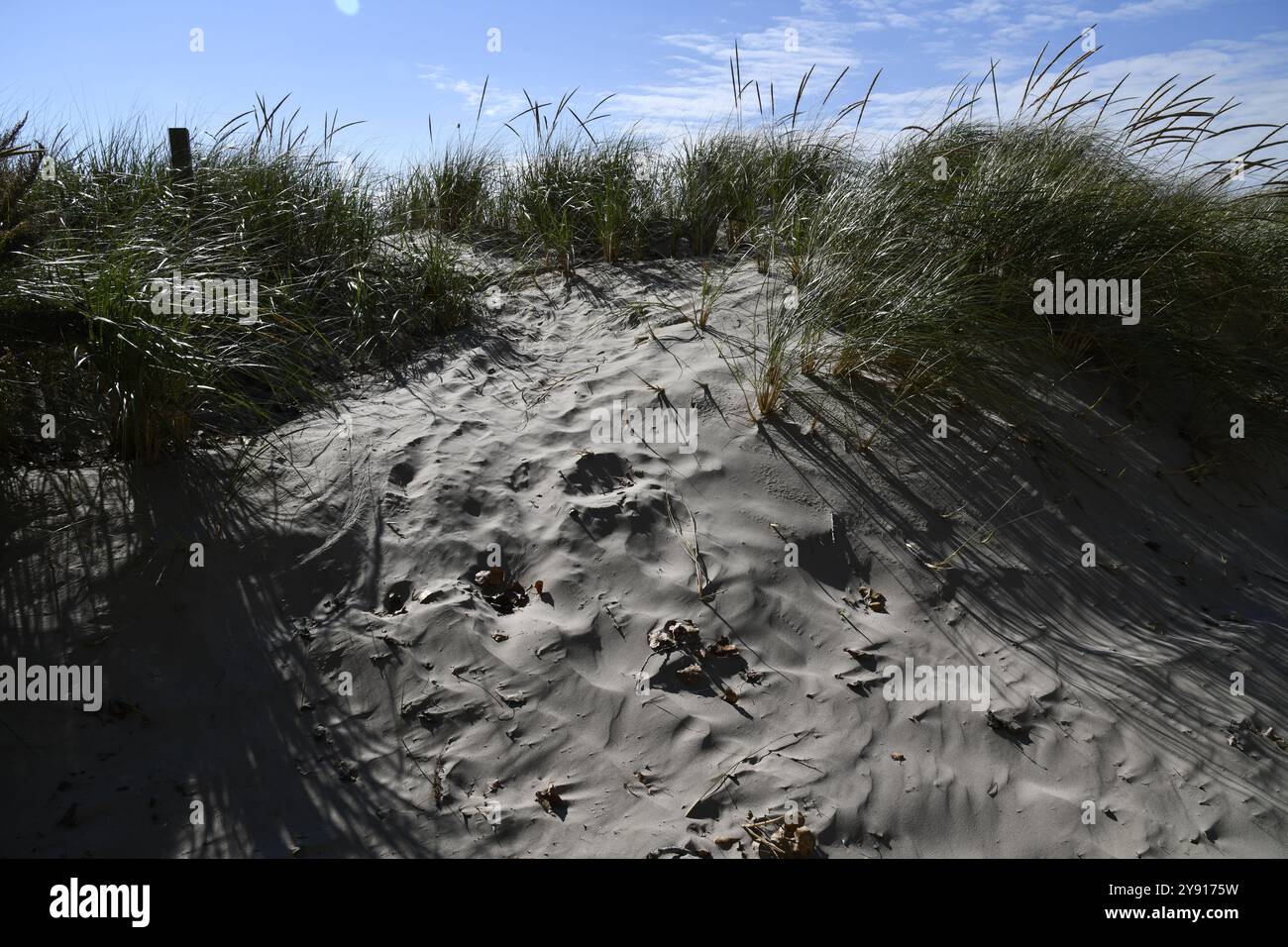 Spiaggia sul lago Ontario all'outlet con poche persone il giorno d'autunno Foto Stock