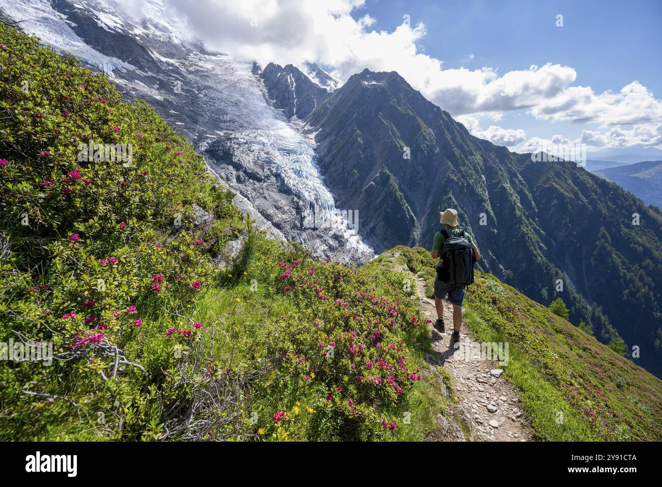 Alpinista tra rose alpine su un sentiero escursionistico, paesaggio di montagna impressionante con ghiacciaio, vista sul ghiacciaio del Taconnaz, escursione a la Jonction Foto Stock