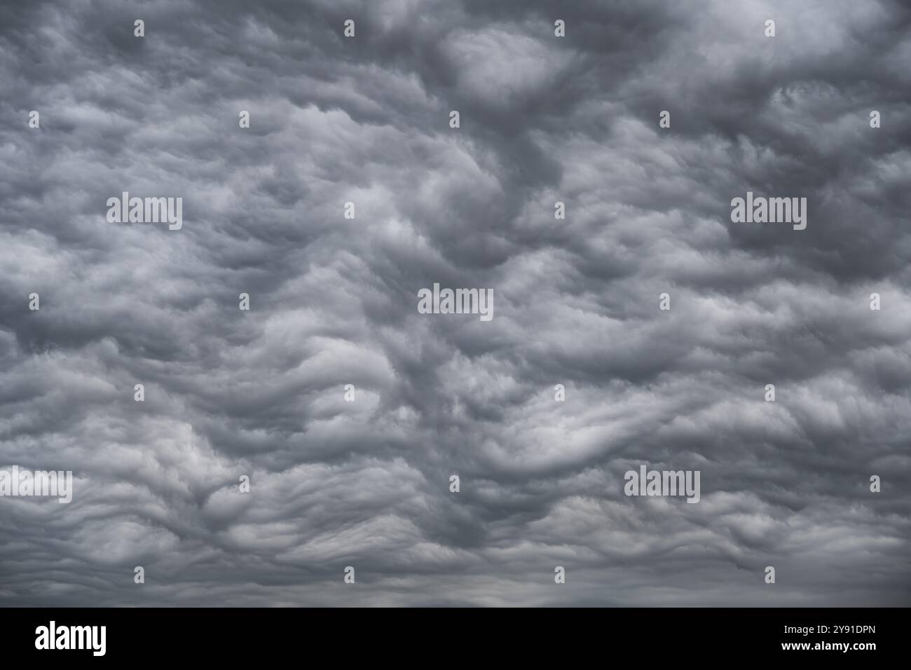 Formazione di cloud drammatici, riempimento del formato, ondulato, estremamente strutturato, copertura di cloud chiusi, cloud base, distretto di Costanza, Baden-Wuerttemberg, Germa Foto Stock