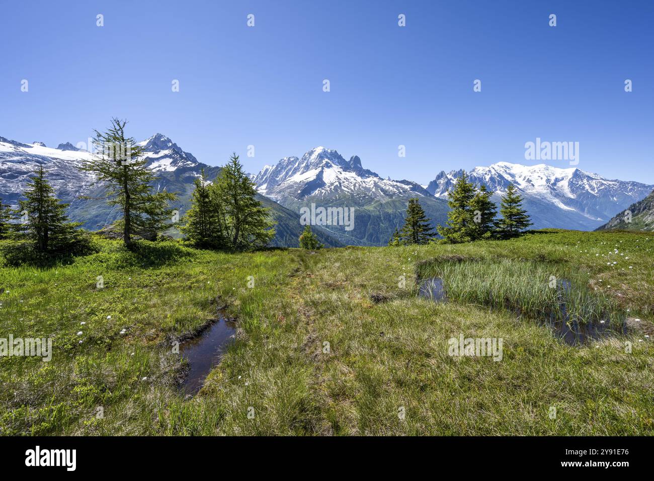 Panorama montano con cime ghiacciate, Aiguille verte con Aiguille du Midi e Mont Blanc, escursione all'Aiguillette des Posettes, Chamonix, Haut Foto Stock