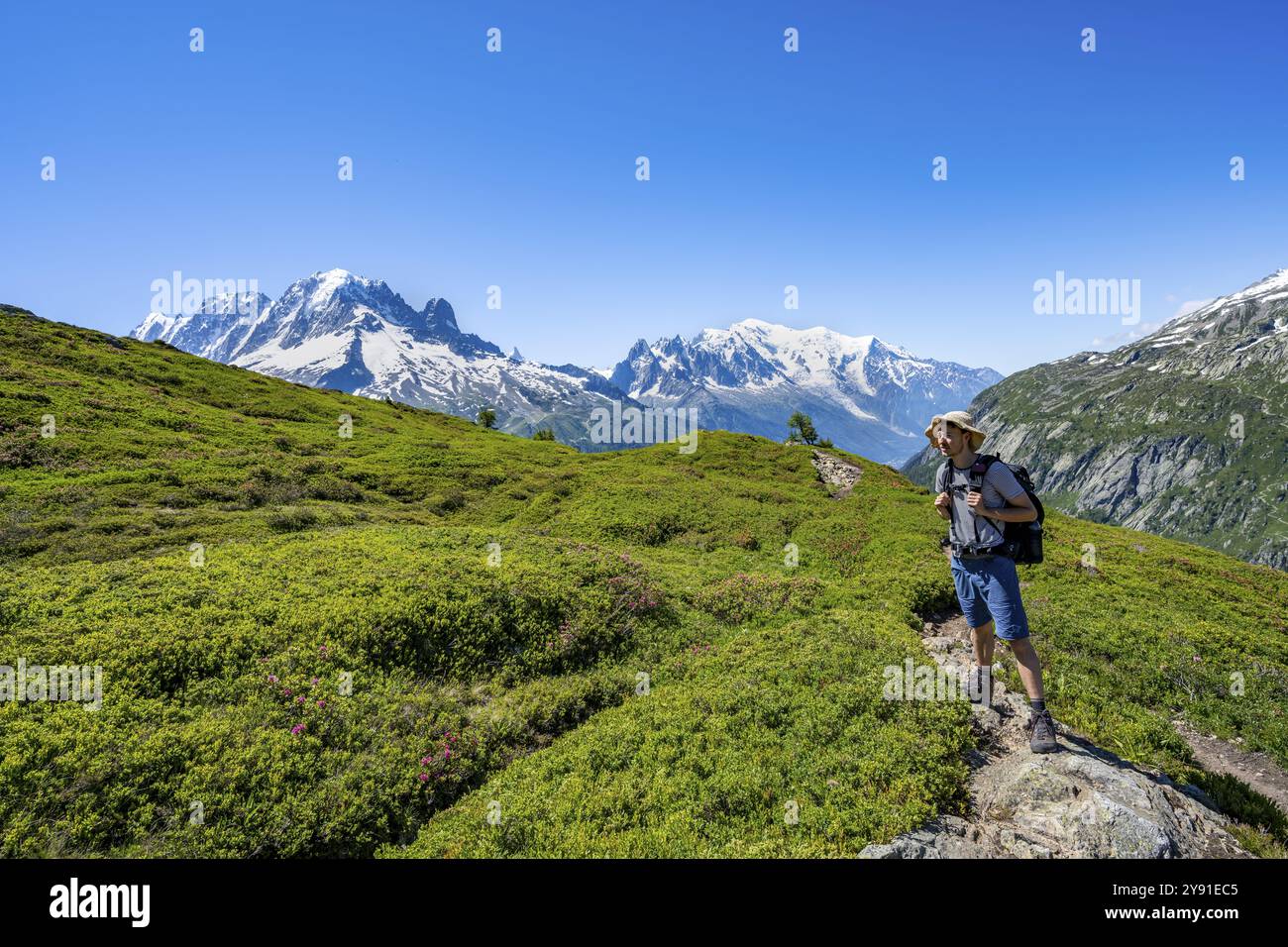 Alpinista su sentiero escursionistico, panorama montano con cime glaciate, Aiguille verte con Aiguille du Midi e Mont Blanc, escursione ad Aiguillette Foto Stock