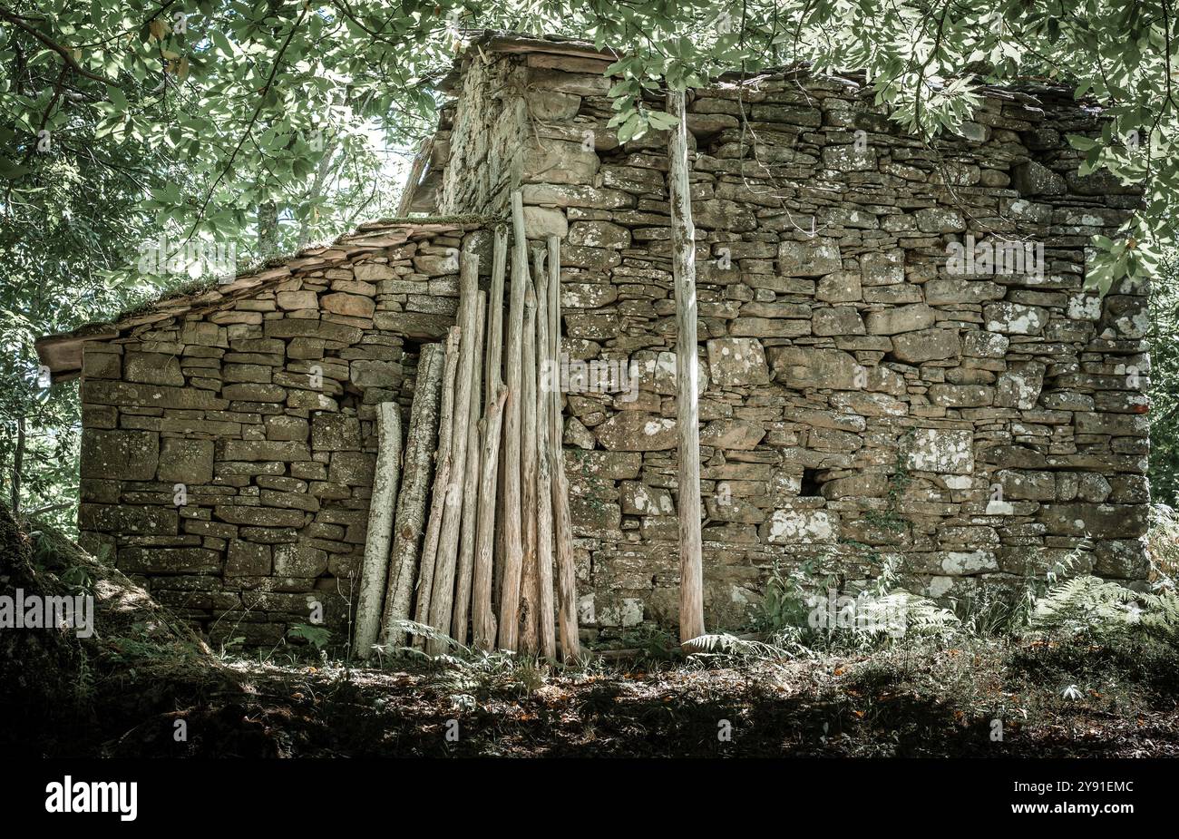Casa artigianale nel bosco appenninico. Antica casa fatta in casa nella Foresta di Badia Moscheta, comune di Firenzuola, città metropolitana Foto Stock