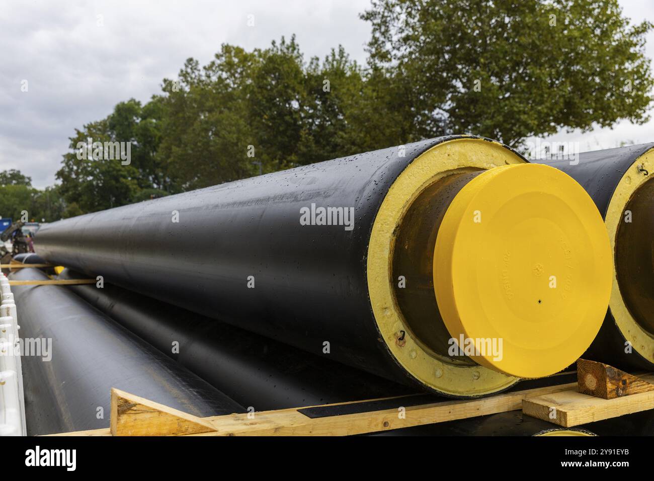 Una sezione del Ponte di Carola è crollata. Su una lunghezza di circa 100 metri, il tratto su cui normalmente circolano i tram è crollato nella e Foto Stock