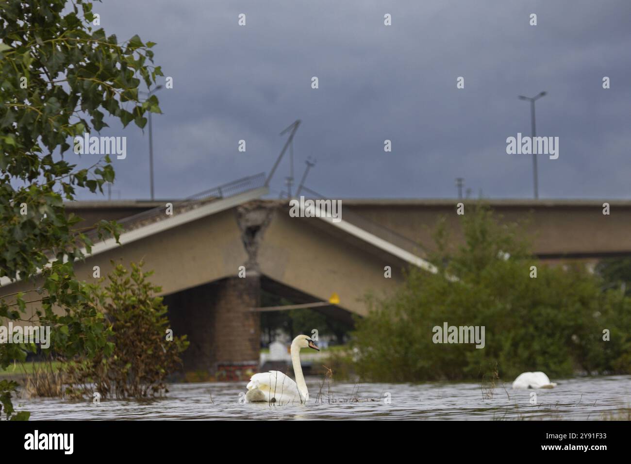 Una sezione del Ponte di Carola è crollata. Su una lunghezza di circa 100 metri, il tratto su cui normalmente circolano i tram è crollato nella e Foto Stock