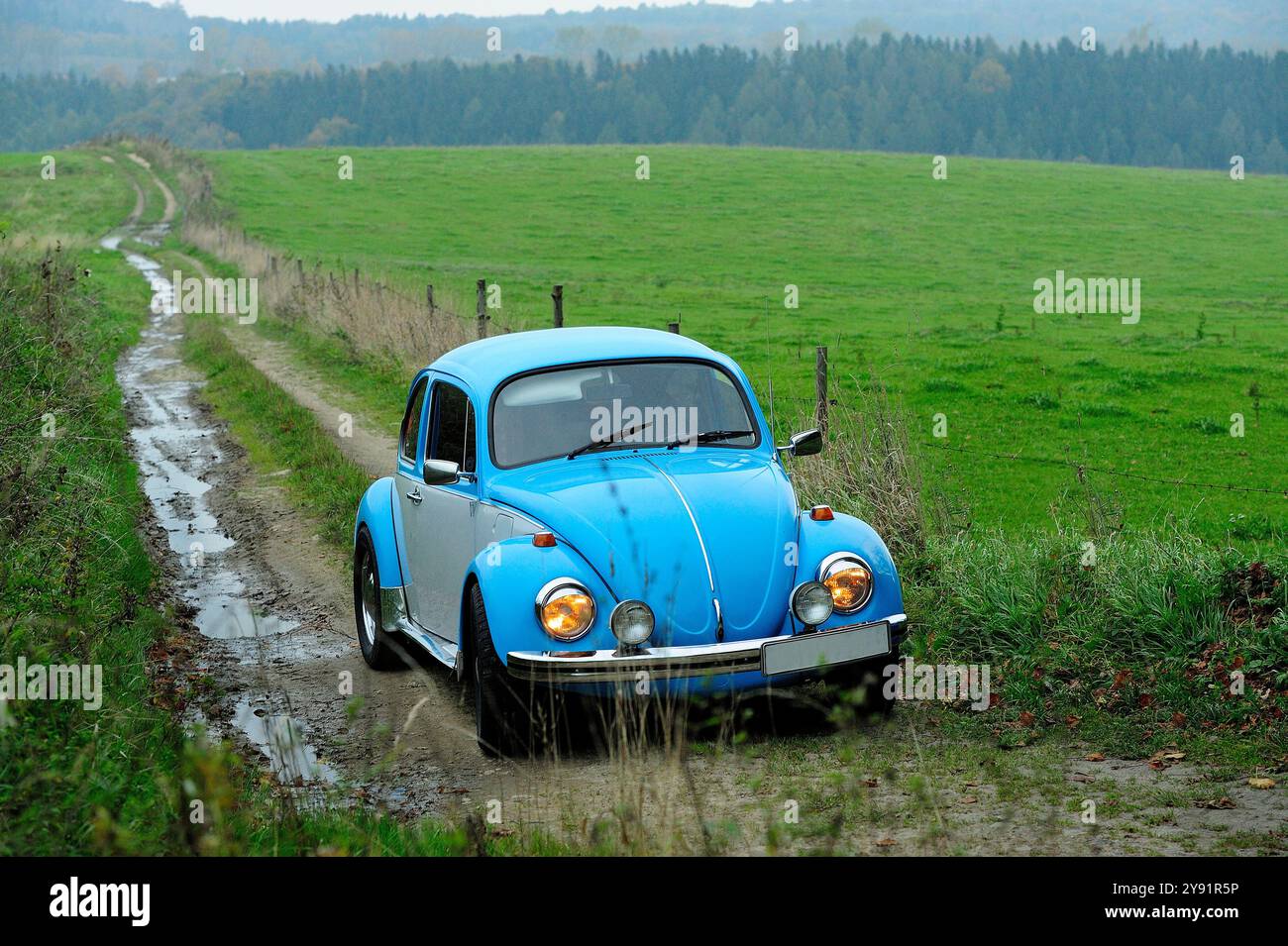 VW Beetle, fine settimana lungo di festeggiamenti, retrò, lucente, sterzo, strada, stile, trasporto, trasporto, veicolo, vibrazioni retrò, foto Kazimierz Jurewicz, Foto Stock