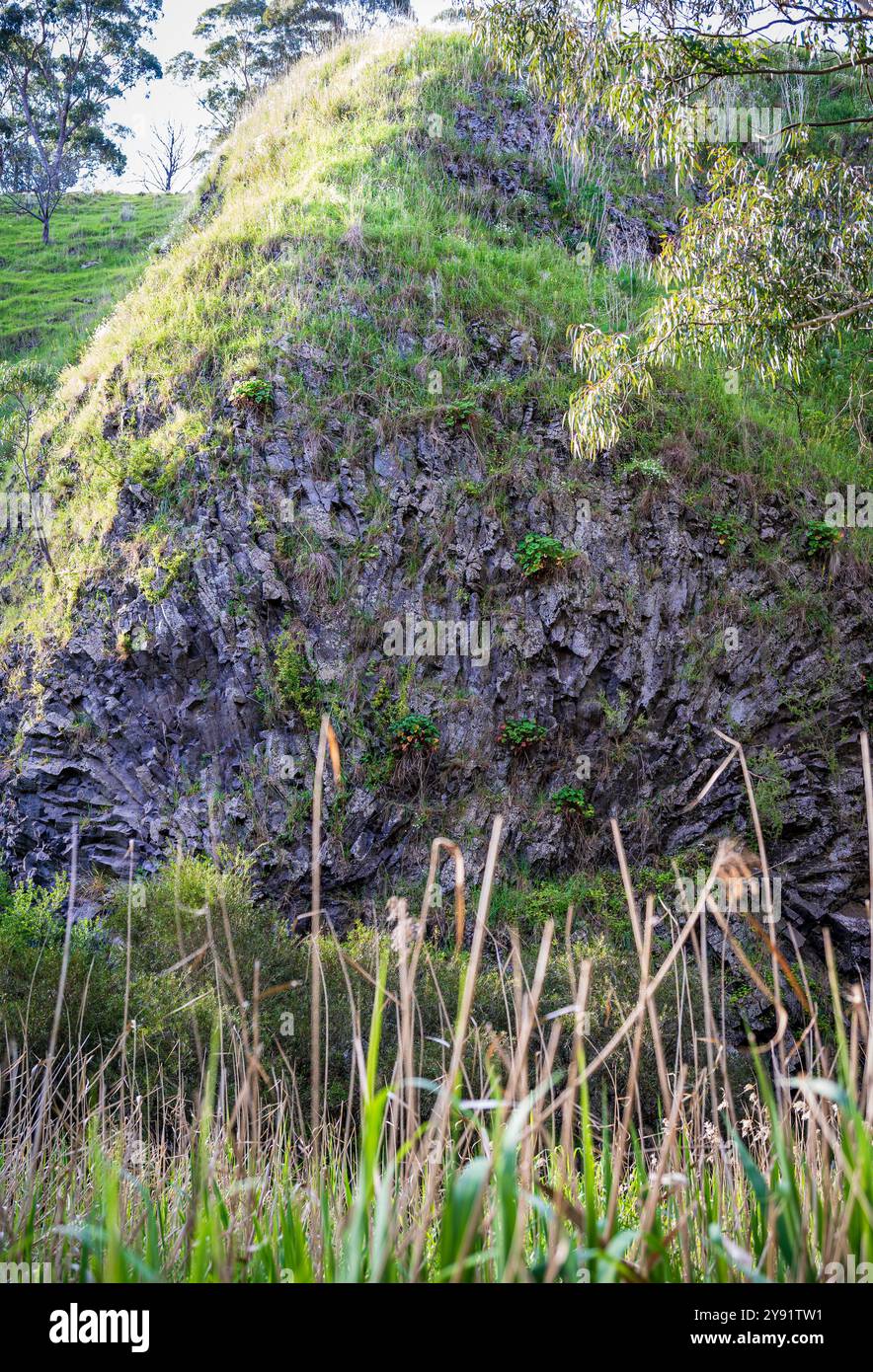 Roccia rosetta: Una formazione rocciosa vulcanica che torreggia sopra il Jacksons Creek. Il colpo è stato catturato da lontano bordo di Jackson creek nel tardo pomeriggio. Foto Stock