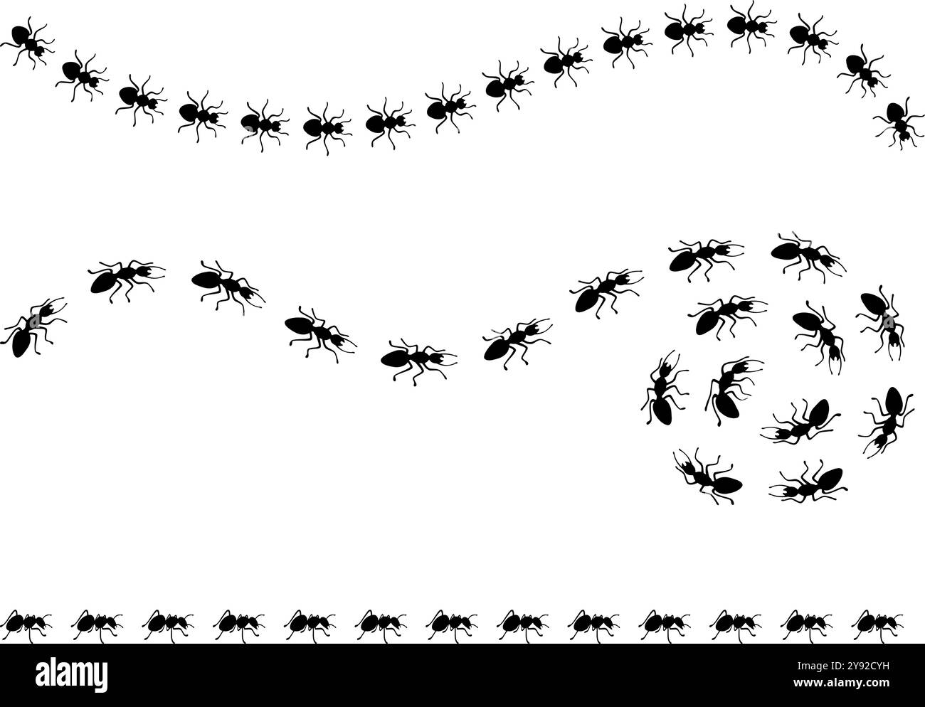 Strade di formiche nere. Percorsi e percorsi ANT, vista dall'alto. Insetti che marciano uno dopo l'altro, lavorando insieme. Percorsi di linee e curve, scenografia vettoriale neoterica Illustrazione Vettoriale