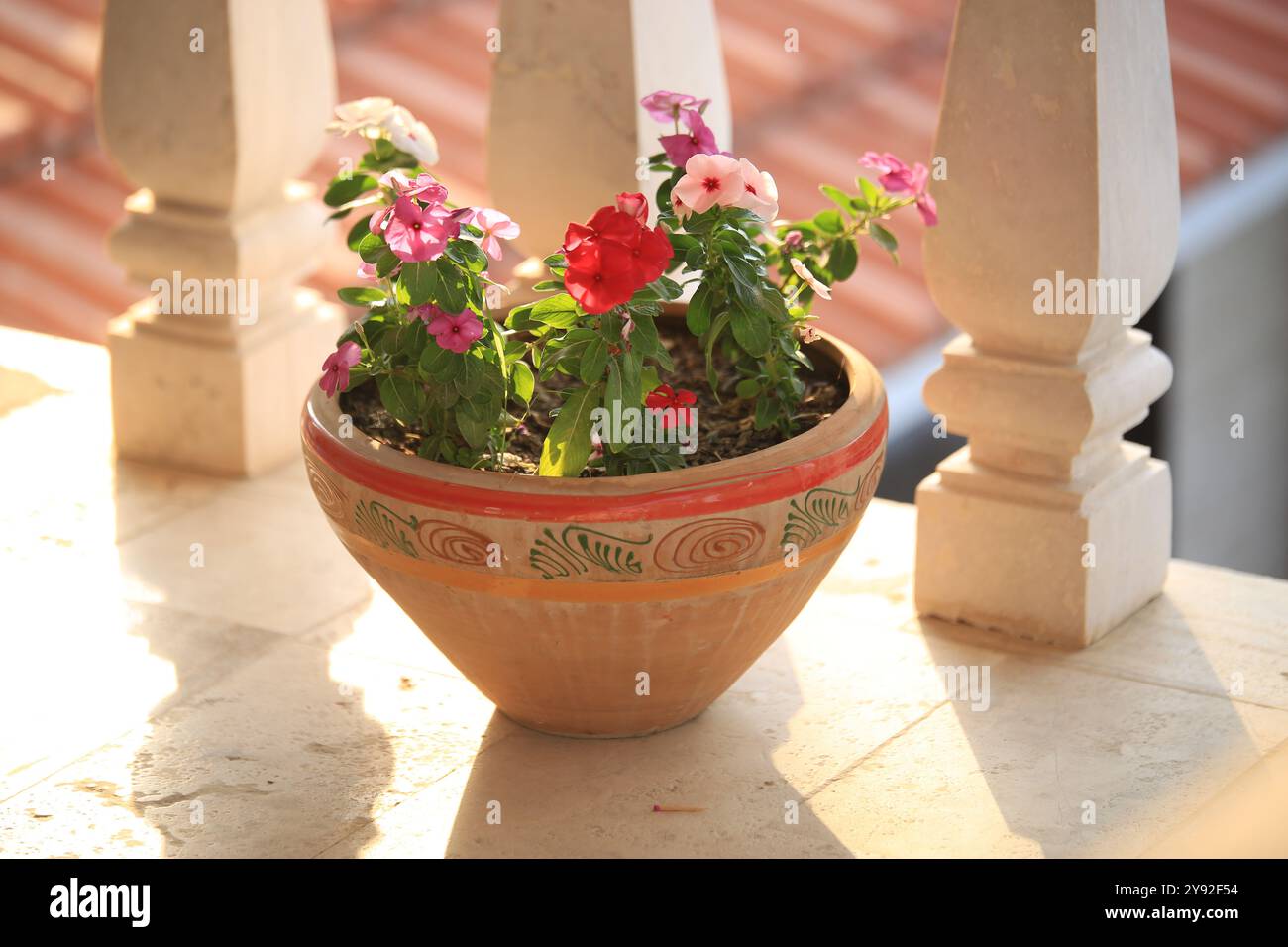 Pentola di argilla con fiori colorati su un balcone illuminato dal sole, perfetta per il giardino e la decorazione all'aperto Foto Stock