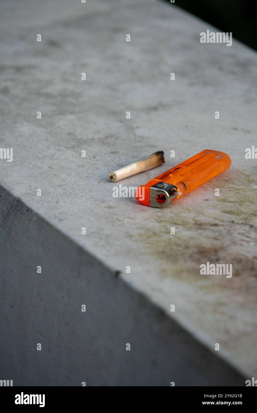 Un'erba mezza bruciata e più leggera in un ambiente indiano selvaggio e naturale. Perfetto per immagini sull'uso di cannabis, la cultura del fumo e i temi all'aperto. Foto Stock