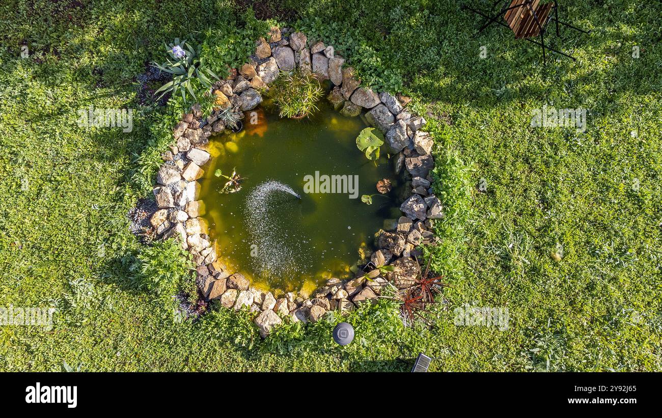 Drone Birdseye prospettiva di un piccolo laghetto di pesci da giardino, con fontana ad energia solare Foto Stock