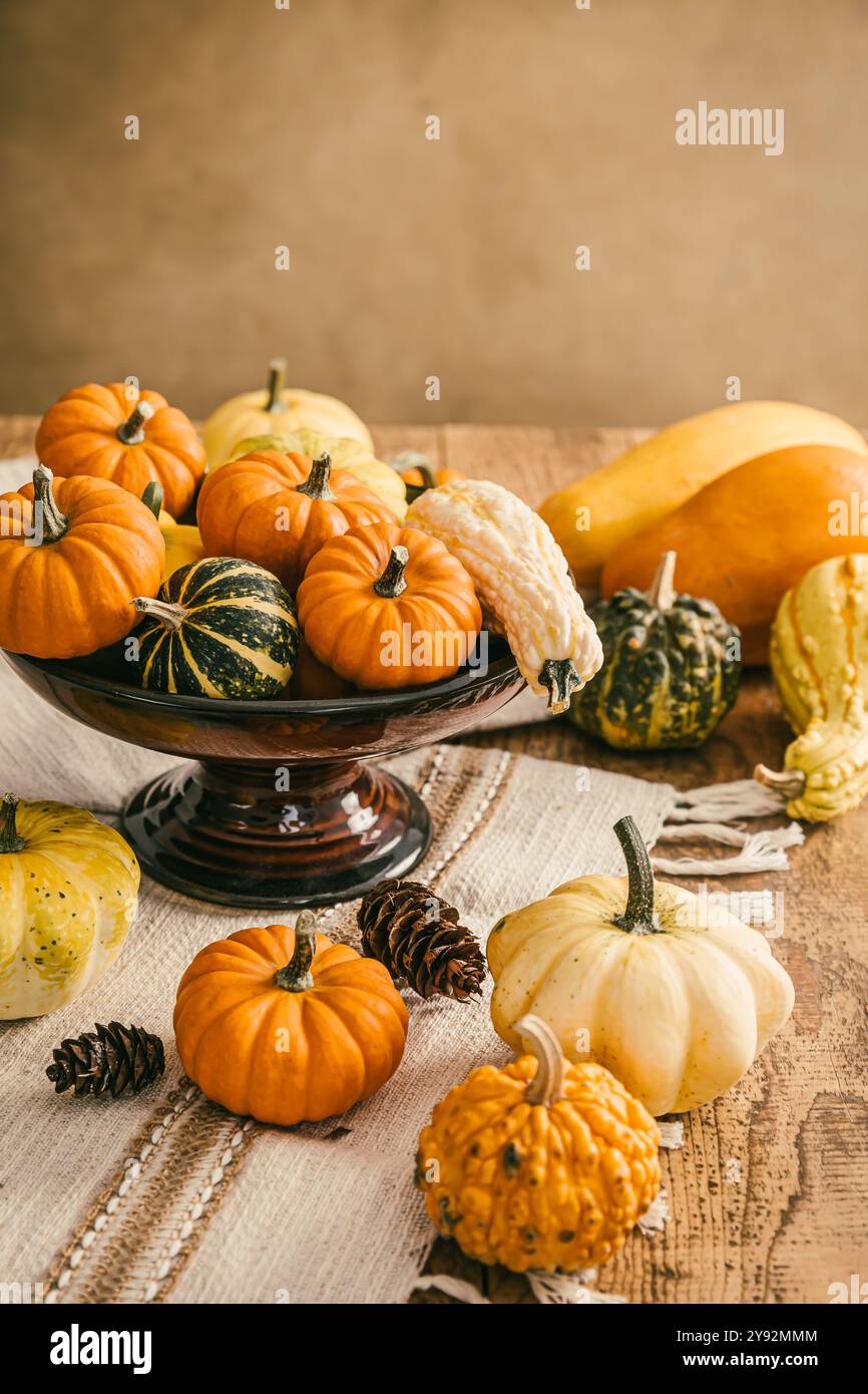 Natura morta con zucche assortite sul tavolo della cucina per il Ringraziamento e Halloween Foto Stock