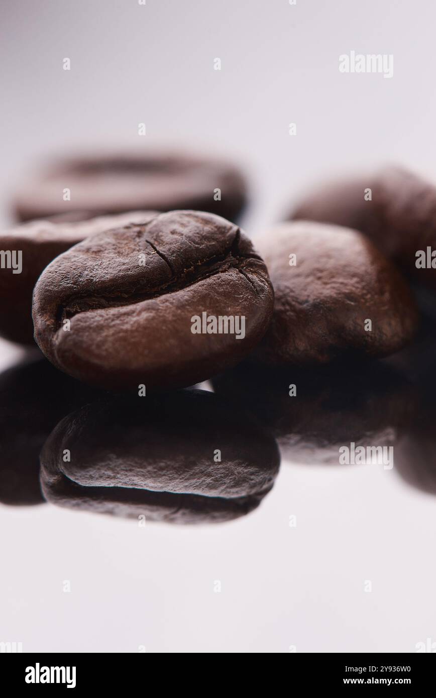 Caffè, chicchi e caffeina con ingrediente al caffè per espresso, cappuccino o latte sullo sfondo di uno studio. Primo piano, cacao o semi biologici da Foto Stock