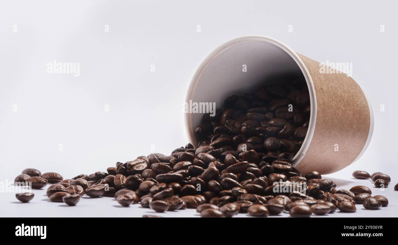 Caffè, chicchi e tazza con caffeina o ingrediente al caffè per espresso, cappuccino o latte sullo sfondo di uno studio. Primo piano, cacao o semi biologici Foto Stock