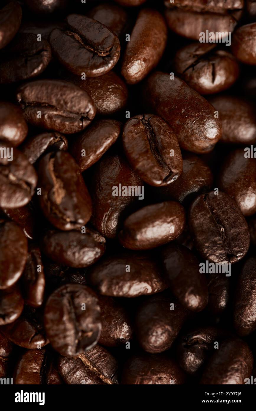 Raggruppa, chicchi di caffè e cereali biologici in produzione, produce e prepara semi per la produzione. Primo piano, miscela per cappuccino e consistenza di alimenti crudi per Foto Stock