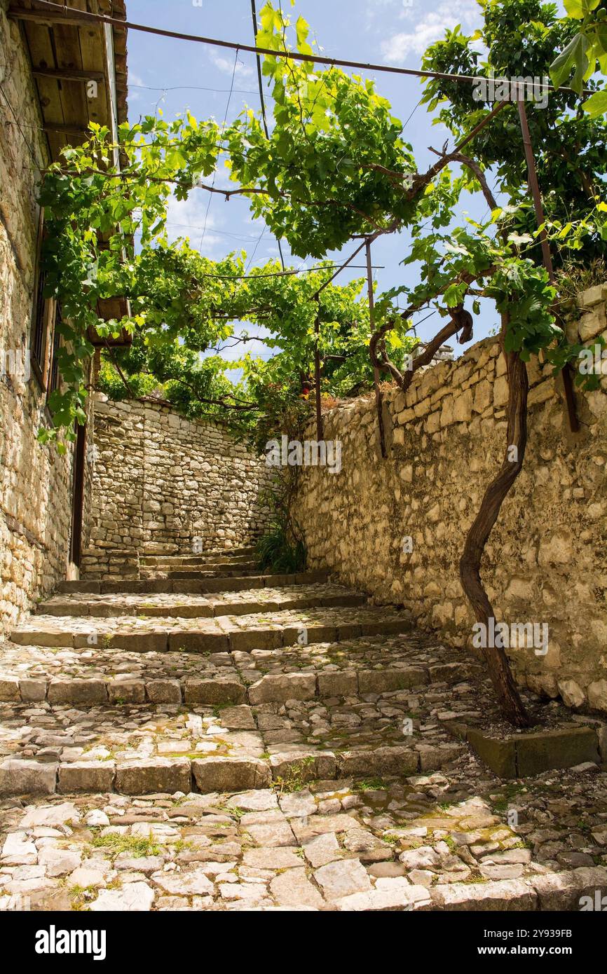 Uno stretto vicolo acciottolato a gradini nello storico quartiere residenziale del castello, Kalaja, di Berat, nel sud dell'Albania. Pietra tradizionale Foto Stock