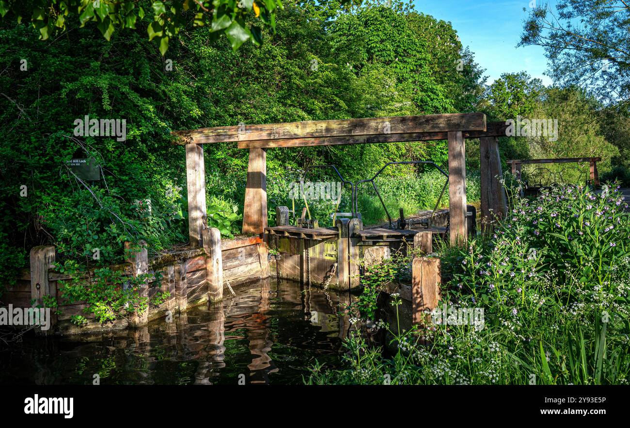 Le chiuse sul fiume Stour a Flatford Mill, Suffolk, Inghilterra. Foto Stock