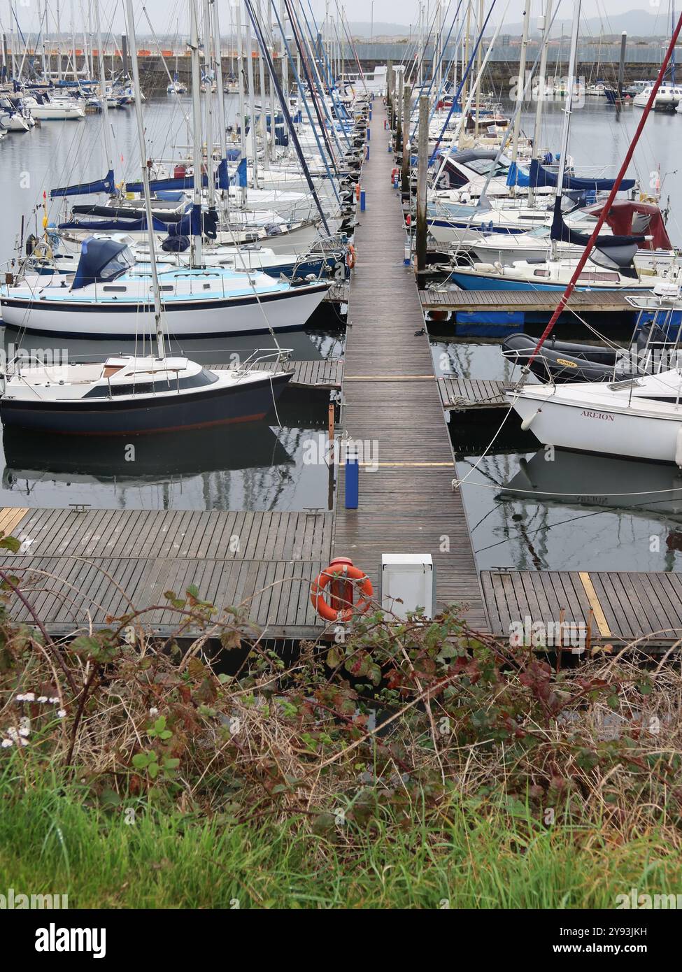 Gli yacht ormeggiati nelle acque sicure del porto turistico di Troon Yacht Haven, un luogo di attracco popolare per gli armatori sulla costa occidentale della Scozia. Foto Stock