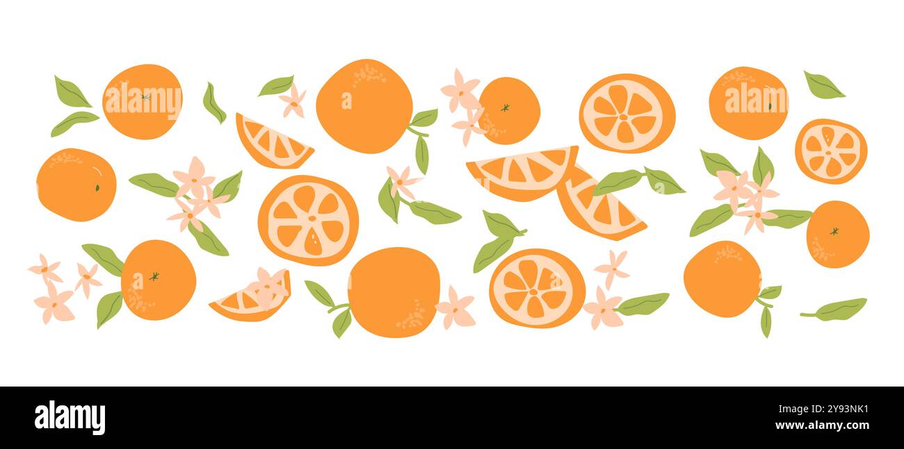 Set di piante da frutto astratte disegnate a mano. Frutta intera, fette, pezzi e foglie, fiori. Può essere utilizzato per poster, etichette, modelli. Illustrazione Vettoriale