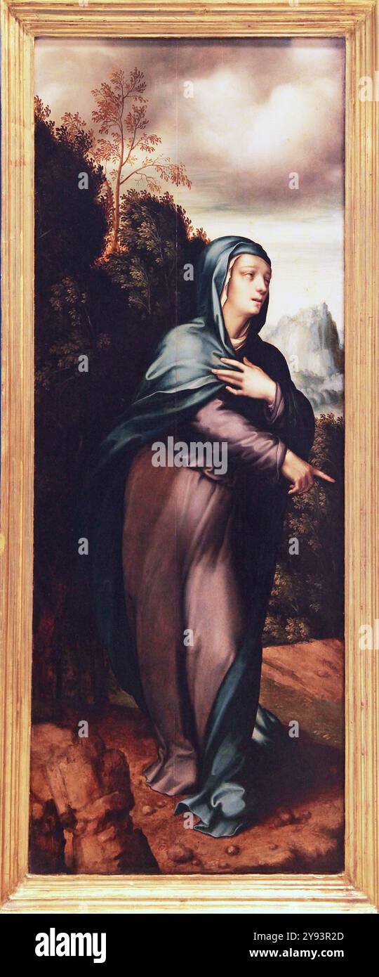 La beata Vergine Maria Madre di Gesù da Luis de Morales (1512 - 1586) un pittore spagnolo. Foto Stock