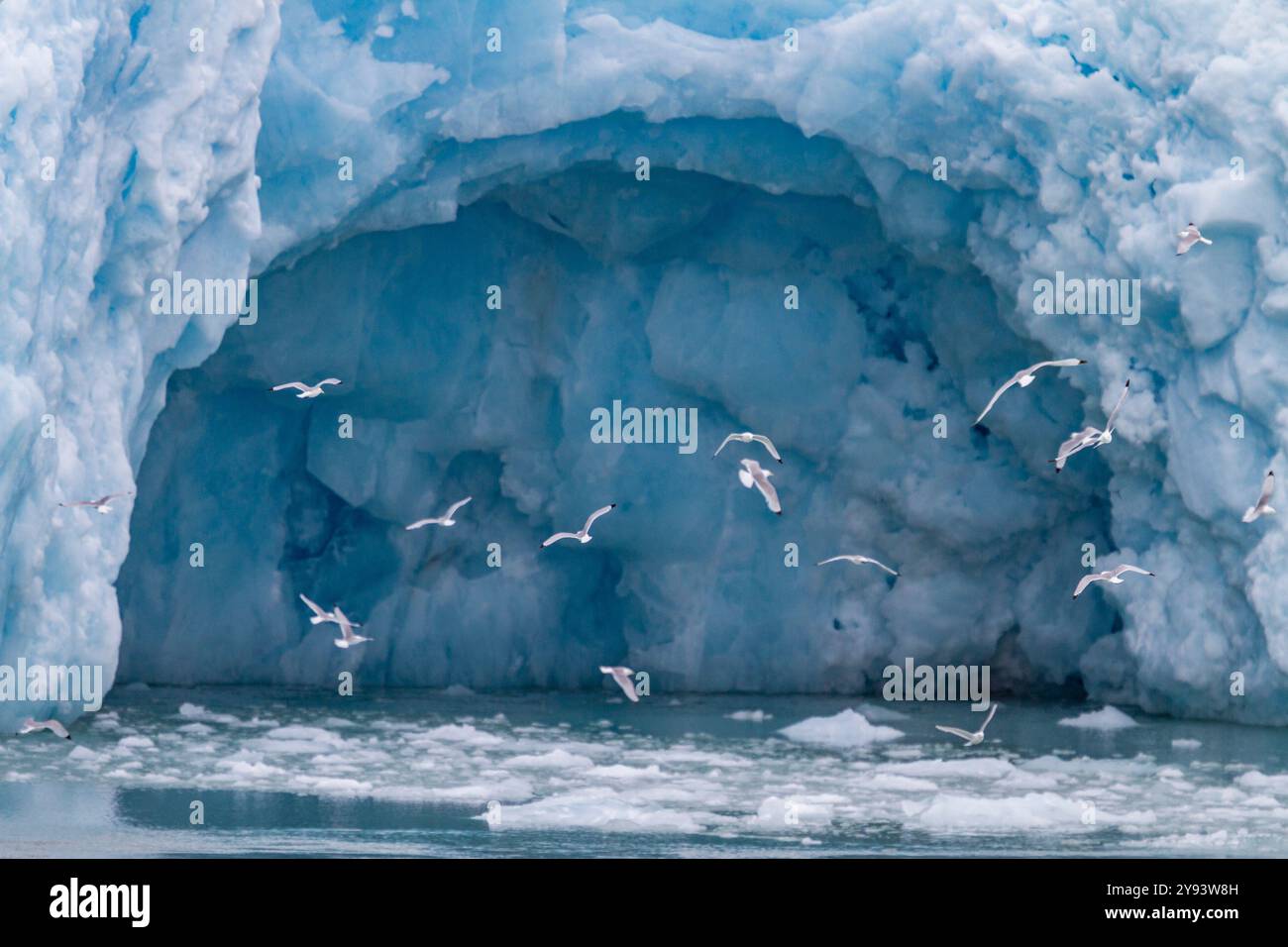 Vedute del Monacobreen (ghiacciaio di Monaco), nella Terra di Haakon VII sull'isola di Spitsbergen nelle Svalbard, Norvegia, Artico, Europa Foto Stock Vedute del Monacobreen (ghiacciaio di Monaco), nella Terra di Haakon VII sull'isola di Spitsbergen nelle Svalbard, Norvegia, Artico, Europa Foto Stock