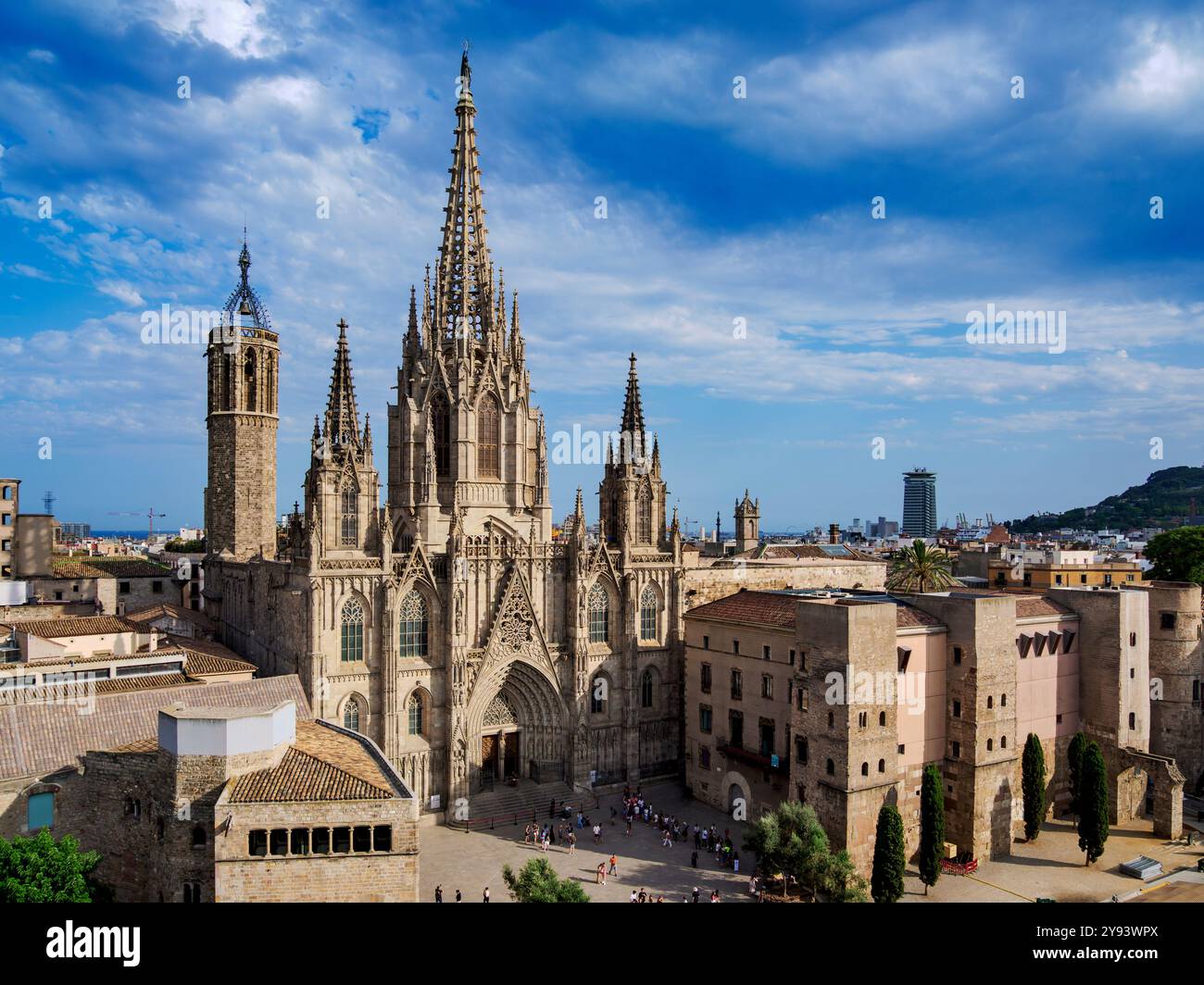 Cattedrale metropolitana Basilica di Santa Croce e Sant'Eulalia, vista sopraelevata, quartiere gotico, Barcellona, Catalogna, Spagna, Europa Foto Stock